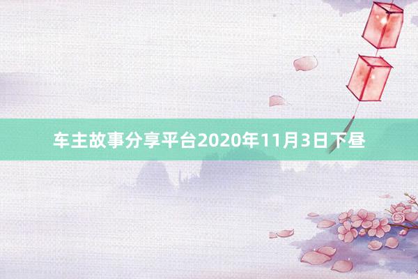 车主故事分享平台2020年11月3日下昼