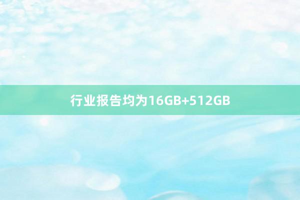 行业报告均为16GB+512GB