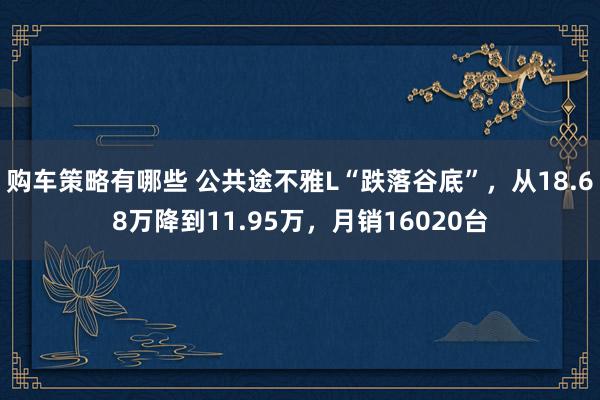 购车策略有哪些 公共途不雅L“跌落谷底”，从18.68万降到11.95万，月销16020台