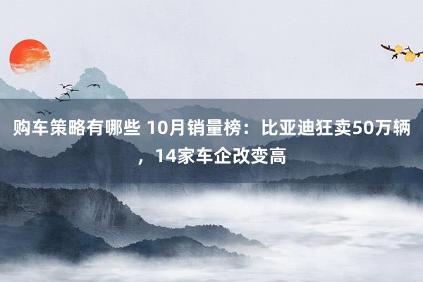 购车策略有哪些 10月销量榜：比亚迪狂卖50万辆，14家车企改变高