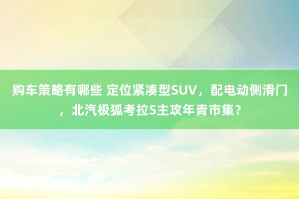 购车策略有哪些 定位紧凑型SUV，配电动侧滑门，北汽极狐考拉S主攻年青市集？