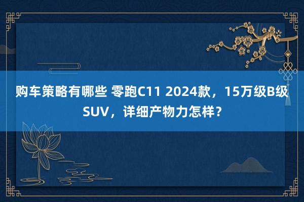 购车策略有哪些 零跑C11 2024款，15万级B级SUV，详细产物力怎样？