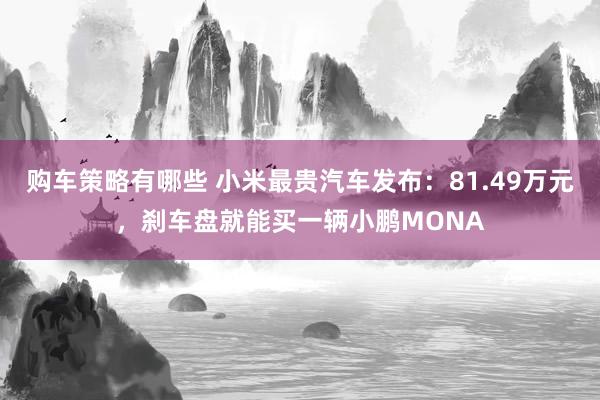 购车策略有哪些 小米最贵汽车发布：81.49万元，刹车盘就能买一辆小鹏MONA