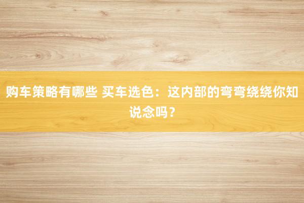 购车策略有哪些 买车选色：这内部的弯弯绕绕你知说念吗？