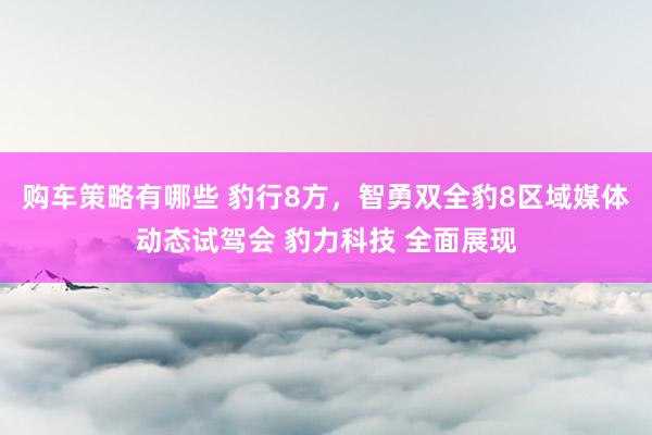 购车策略有哪些 豹行8方，智勇双全豹8区域媒体动态试驾会 豹力科技 全面展现