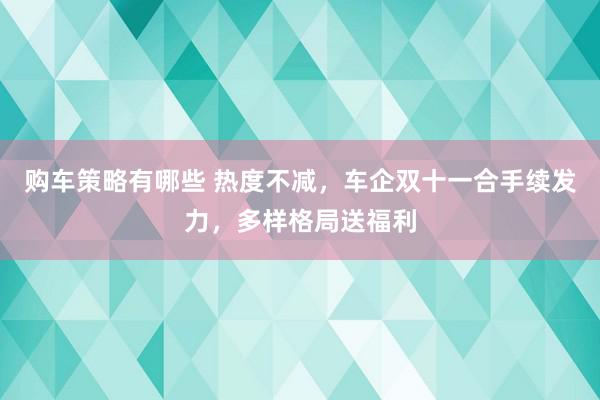 购车策略有哪些 热度不减，车企双十一合手续发力，多样格局送福利