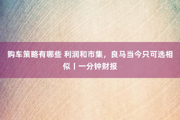 购车策略有哪些 利润和市集，良马当今只可选相似丨一分钟财报