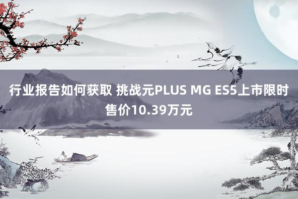 行业报告如何获取 挑战元PLUS MG ES5上市限时售价10.39万元