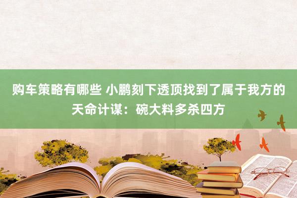 购车策略有哪些 小鹏刻下透顶找到了属于我方的天命计谋：碗大料多杀四方