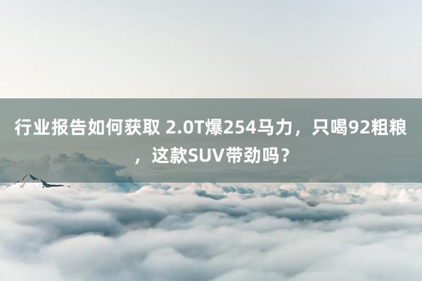 行业报告如何获取 2.0T爆254马力，只喝92粗粮，这款SUV带劲吗？