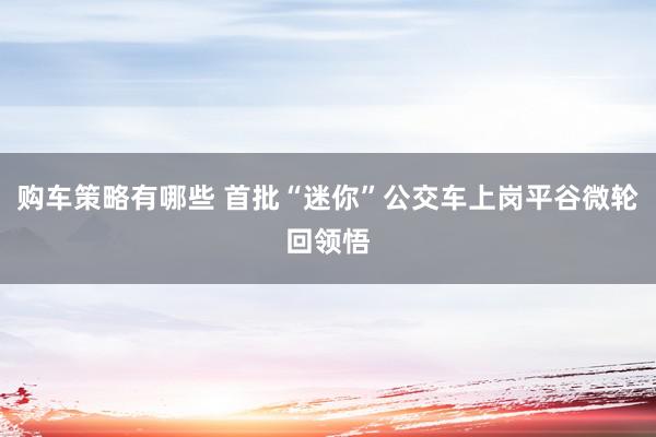 购车策略有哪些 首批“迷你”公交车上岗平谷微轮回领悟