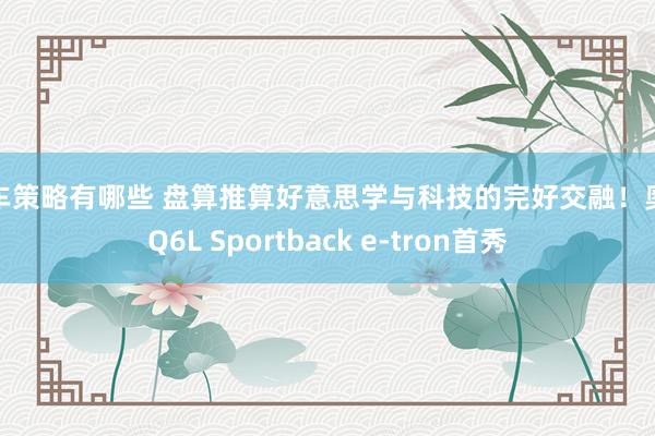 购车策略有哪些 盘算推算好意思学与科技的完好交融！奥迪Q6L Sportback e-tron首秀