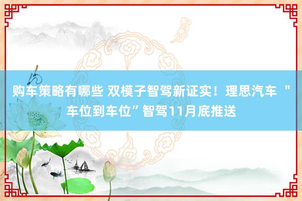 购车策略有哪些 双模子智驾新证实！理思汽车 ＂车位到车位”智驾11月底推送