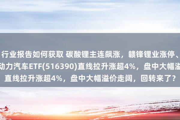 行业报告如何获取 碳酸锂主连飙涨，赣锋锂业涨停、宁德时间涨3%，新动力汽车ETF(516390)直线拉升涨超4%，盘中大幅溢价走阔，回转来了？