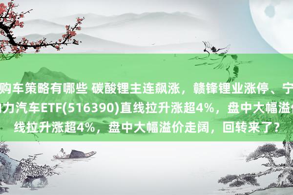 购车策略有哪些 碳酸锂主连飙涨，赣锋锂业涨停、宁德期间涨3%，新动力汽车ETF(516390)直线拉升涨超4%，盘中大幅溢价走阔，回转来了？