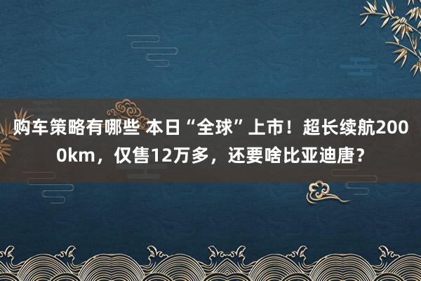 购车策略有哪些 本日“全球”上市！超长续航2000km，仅售12万多，还要啥比亚迪唐？