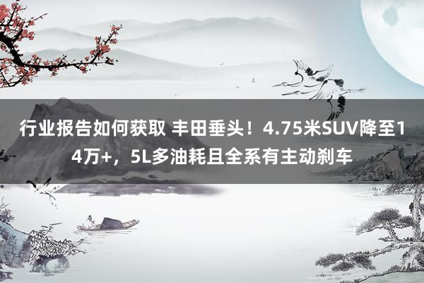 行业报告如何获取 丰田垂头！4.75米SUV降至14万+，5L多油耗且全系有主动刹车