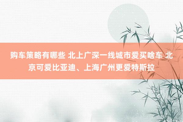 购车策略有哪些 北上广深一线城市爱买啥车 北京可爱比亚迪、上海广州更爱特斯拉