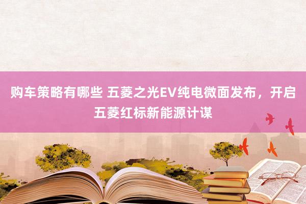 购车策略有哪些 五菱之光EV纯电微面发布，开启五菱红标新能源计谋