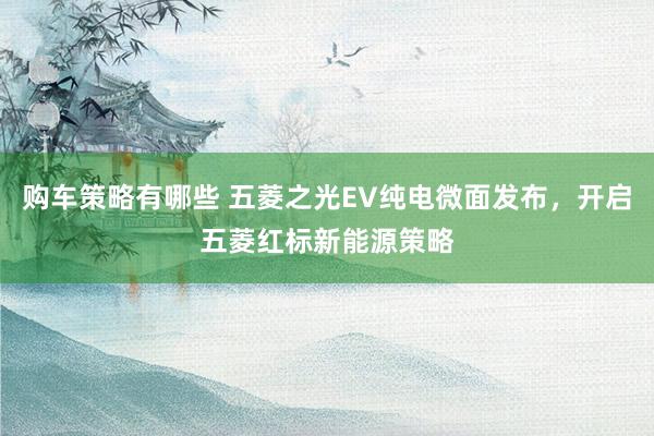 购车策略有哪些 五菱之光EV纯电微面发布，开启五菱红标新能源策略