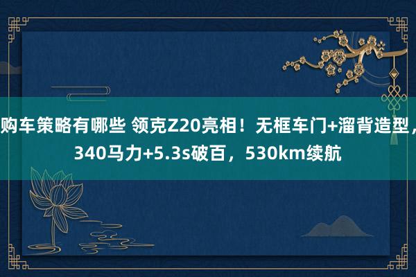 购车策略有哪些 领克Z20亮相！无框车门+溜背造型，340马力+5.3s破百，530km续航