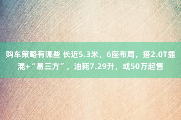 购车策略有哪些 长近5.3米，6座布局，搭2.0T插混+“易三方”，油耗7.29升，或50万起售