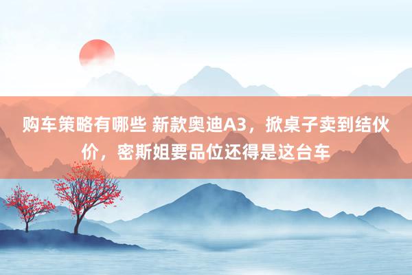 购车策略有哪些 新款奥迪A3，掀桌子卖到结伙价，密斯姐要品位还得是这台车