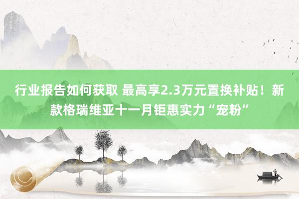 行业报告如何获取 最高享2.3万元置换补贴！新款格瑞维亚十一月钜惠实力“宠粉”