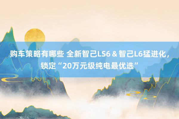 购车策略有哪些 全新智己LS6＆智己L6猛进化，锁定“20万元级纯电最优选”