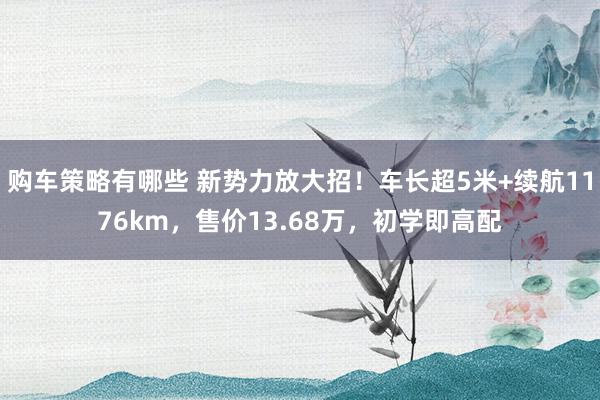 购车策略有哪些 新势力放大招！车长超5米+续航1176km，售价13.68万，初学即高配