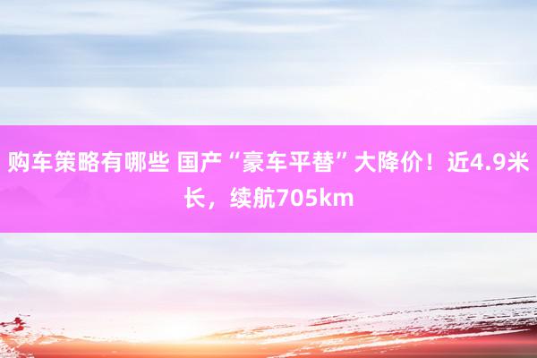 购车策略有哪些 国产“豪车平替”大降价！近4.9米长，续航705km