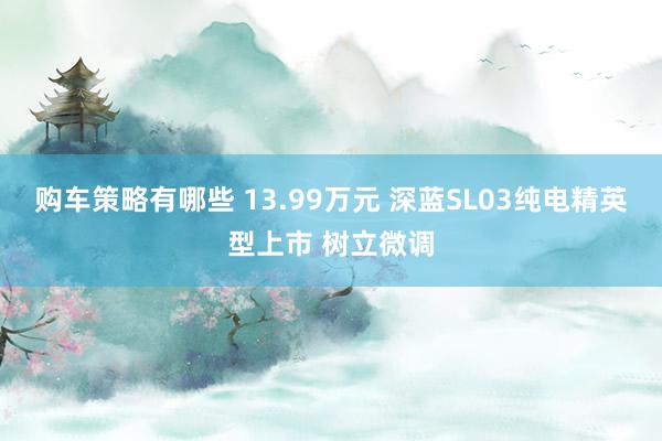 购车策略有哪些 13.99万元 深蓝SL03纯电精英型上市 树立微调