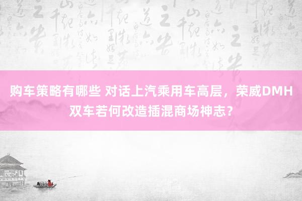 购车策略有哪些 对话上汽乘用车高层，荣威DMH双车若何改造插混商场神志？