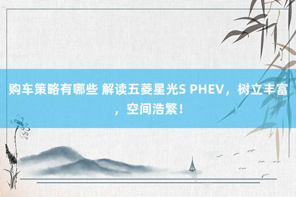 购车策略有哪些 解读五菱星光S PHEV，树立丰富，空间浩繁！