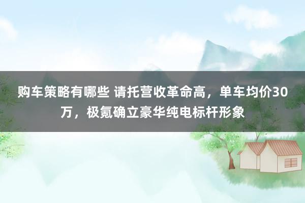 购车策略有哪些 请托营收革命高，单车均价30万，极氪确立豪华纯电标杆形象