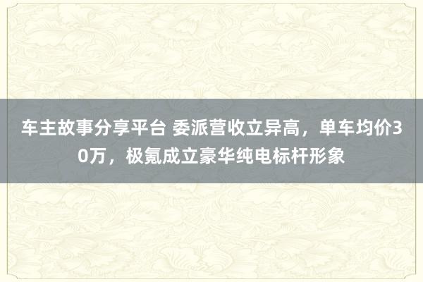 车主故事分享平台 委派营收立异高，单车均价30万，极氪成立豪华纯电标杆形象