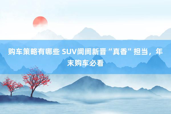 购车策略有哪些 SUV阛阓新晋“真香”担当，年末购车必看