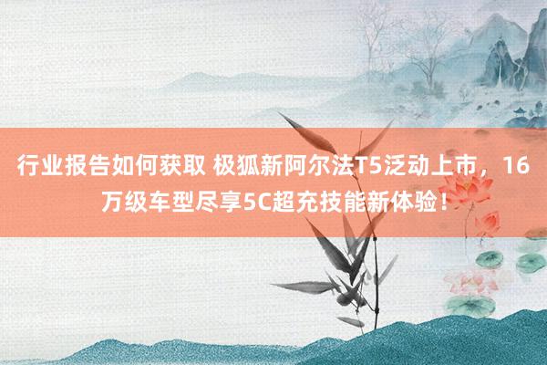 行业报告如何获取 极狐新阿尔法T5泛动上市，16万级车型尽享5C超充技能新体验！