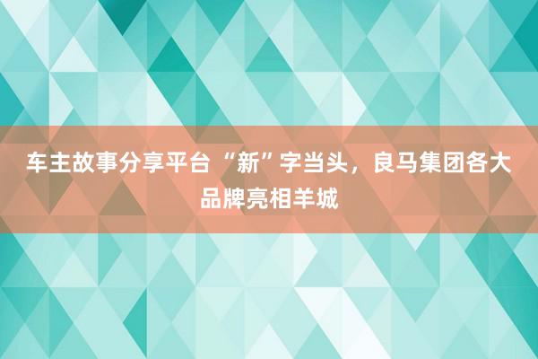 车主故事分享平台 “新”字当头，良马集团各大品牌亮相羊城