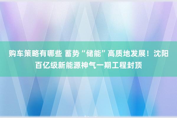 购车策略有哪些 蓄势“储能”高质地发展！沈阳百亿级新能源神气一期工程封顶