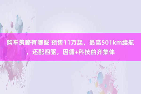 购车策略有哪些 预售11万起，最高501km续航，还配四驱，因循+科技的齐集体