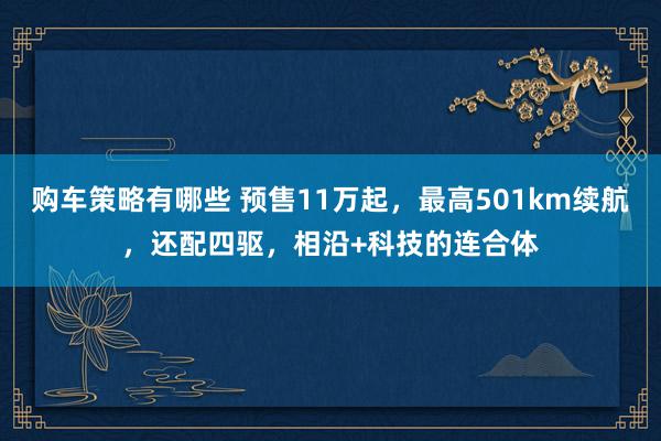 购车策略有哪些 预售11万起，最高501km续航，还配四驱，相沿+科技的连合体