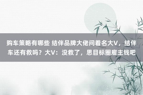 购车策略有哪些 结伴品牌大佬问着名大V，结伴车还有救吗？大V：没救了，思目标圈雇主钱吧