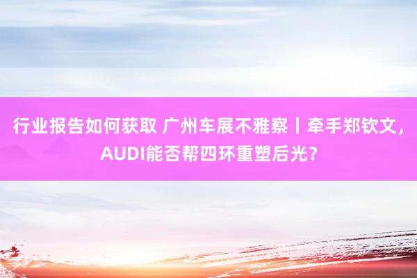 行业报告如何获取 广州车展不雅察丨牵手郑钦文，AUDI能否帮四环重塑后光？