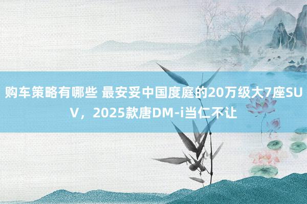 购车策略有哪些 最安妥中国度庭的20万级大7座SUV，2025款唐DM-i当仁不让