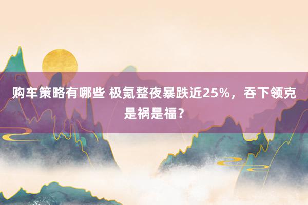 购车策略有哪些 极氪整夜暴跌近25%，吞下领克是祸是福？