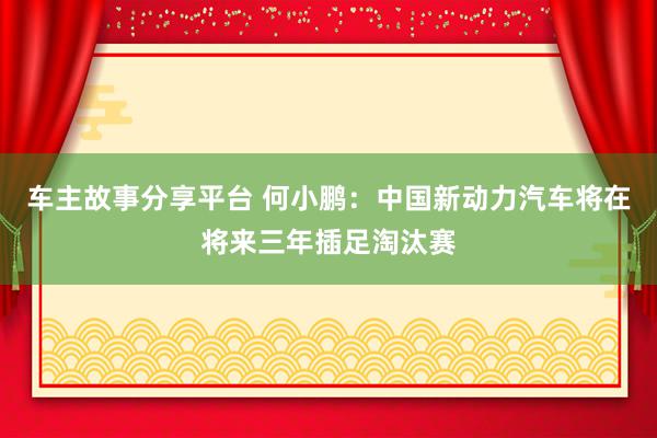 车主故事分享平台 何小鹏：中国新动力汽车将在将来三年插足淘汰赛