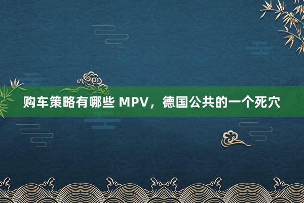 购车策略有哪些 MPV，德国公共的一个死穴