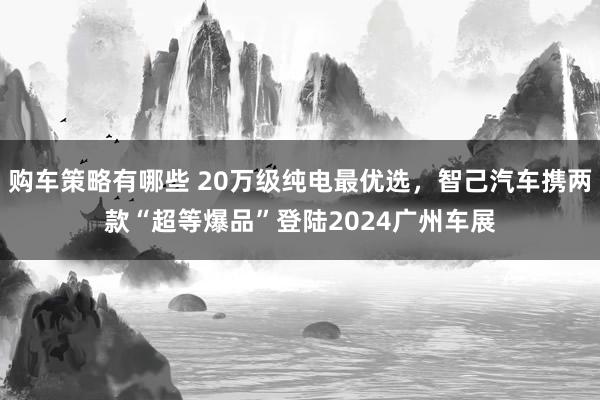 购车策略有哪些 20万级纯电最优选，智己汽车携两款“超等爆品”登陆2024广州车展