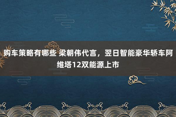 购车策略有哪些 梁朝伟代言，翌日智能豪华轿车阿维塔12双能源上市